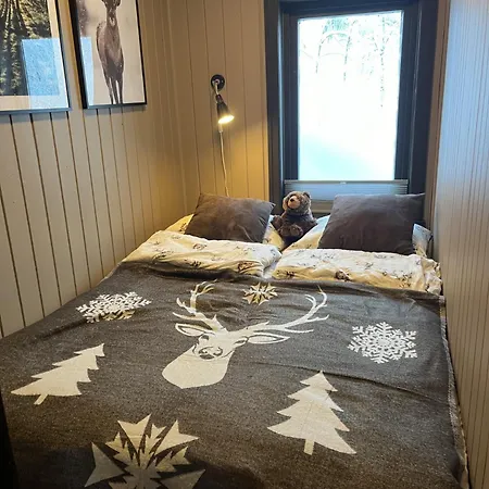 Cozy With A View